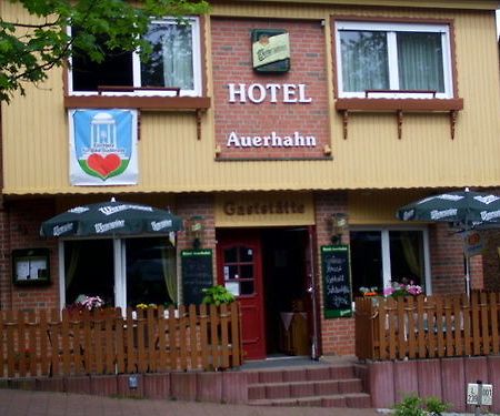 Auerhahn Hotel Bad Suderode Ngoại thất bức ảnh