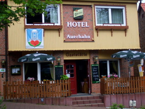 Auerhahn Hotel Bad Suderode Ngoại thất bức ảnh